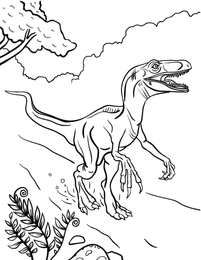 Velociraptor coloring #13, Download drawings