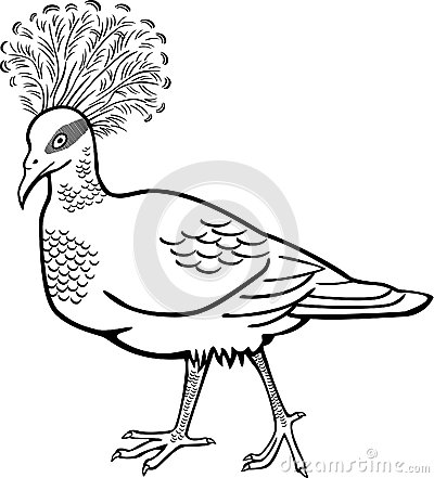 Victoria Crowned Pigeon clipart #1, Download drawings