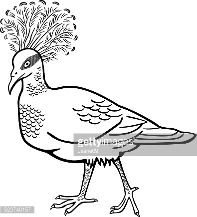 Victoria Crowned Pigeon coloring #19, Download drawings