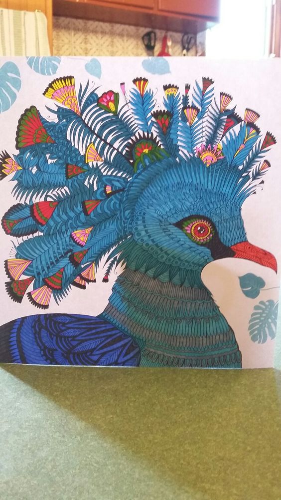 Victoria Crowned Pigeon coloring #11, Download drawings