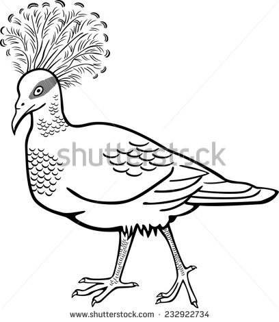 Victoria Crowned Pigeon coloring #5, Download drawings