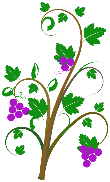 Vine clipart #6, Download drawings