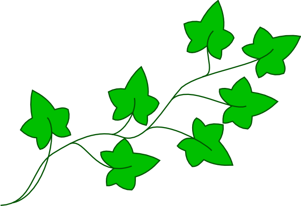 Vines clipart #10, Download drawings