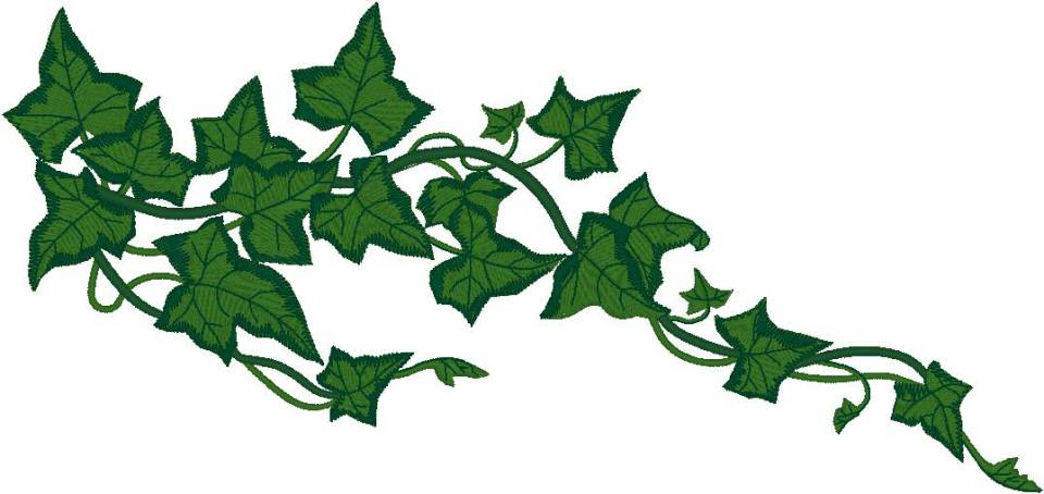 Vines clipart #7, Download drawings