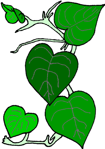 Vines clipart #1, Download drawings