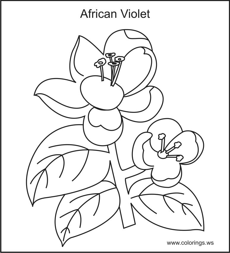 Violet coloring #17, Download drawings