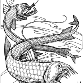 Viperfish coloring #10, Download drawings