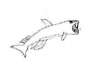 Viperfish coloring #1, Download drawings