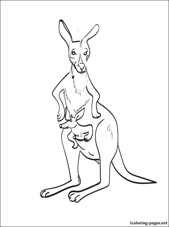 Wallaby coloring #3, Download drawings