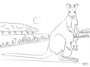 Wallaby coloring #7, Download drawings