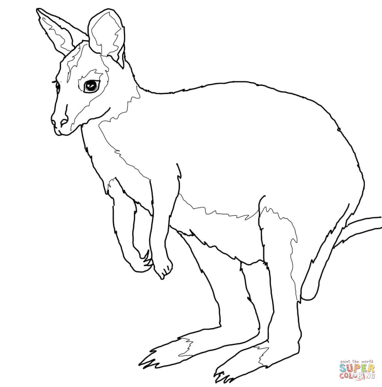 Wallaby coloring #11, Download drawings