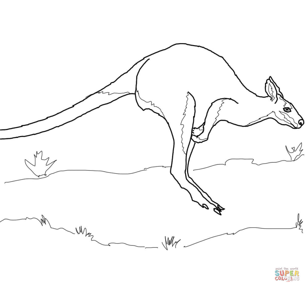 Wallaby coloring #15, Download drawings