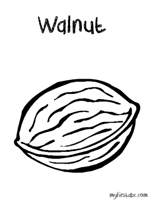 Walnut coloring #16, Download drawings