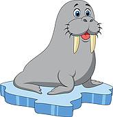 Walrus clipart #4, Download drawings