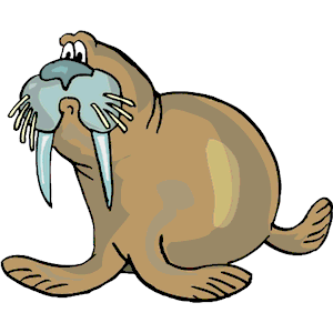 Walrus clipart #7, Download drawings