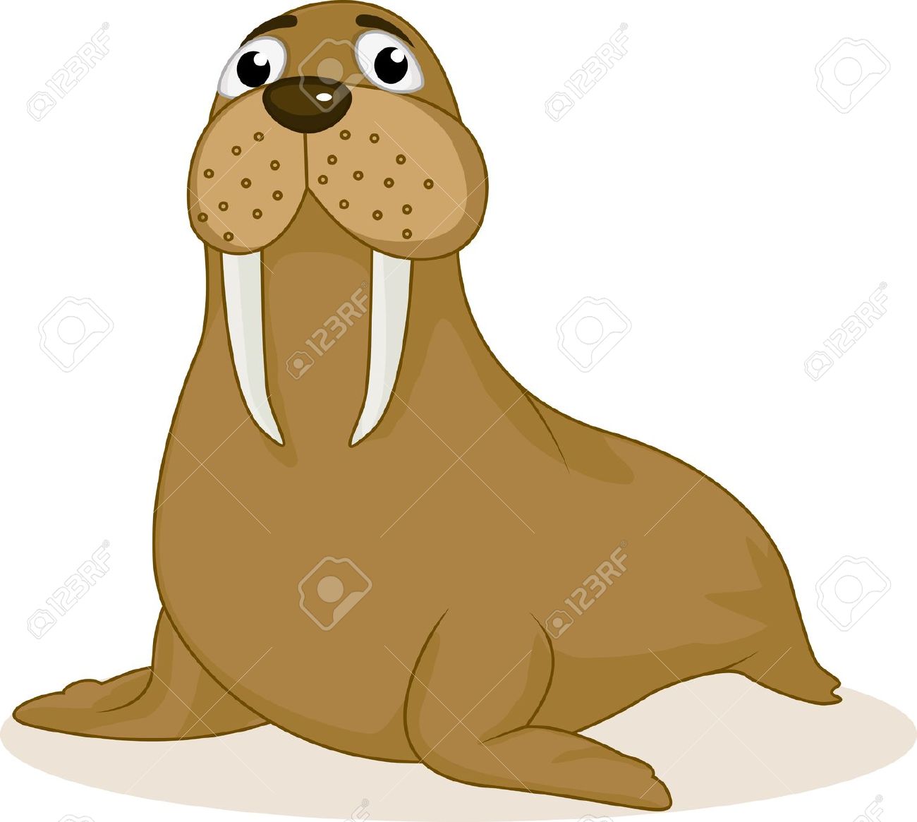 Walrus clipart #9, Download drawings