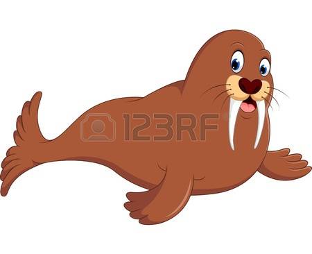 Walrus clipart #7, Download drawings
