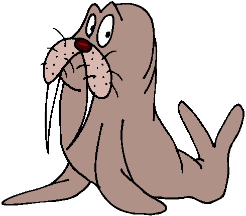 Walrus clipart #4, Download drawings