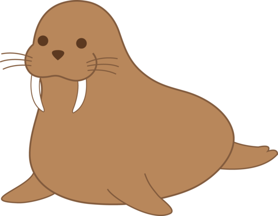 Walrus clipart #1, Download drawings