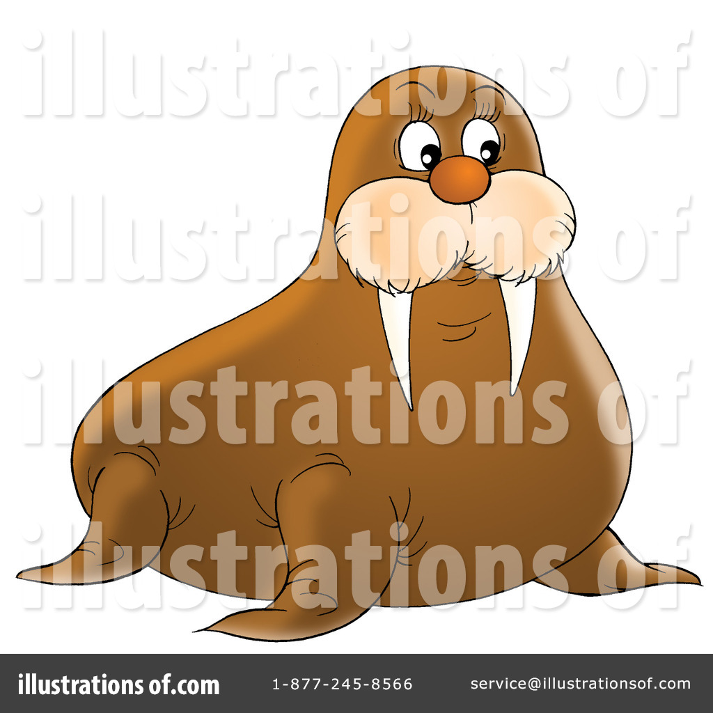Walrus clipart #10, Download drawings