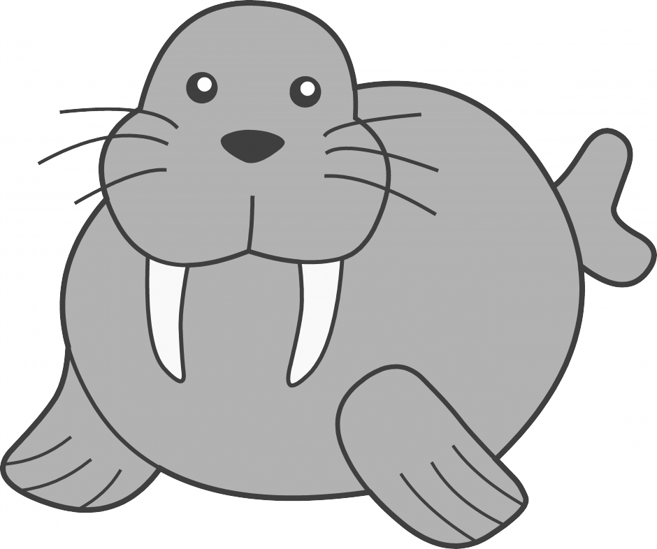 Walrus clipart #8, Download drawings
