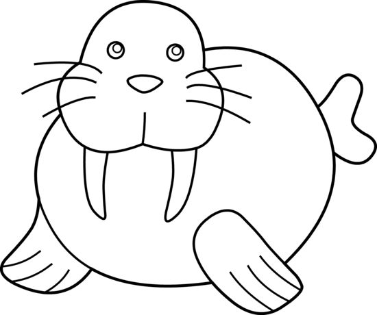 Walrus clipart #11, Download drawings
