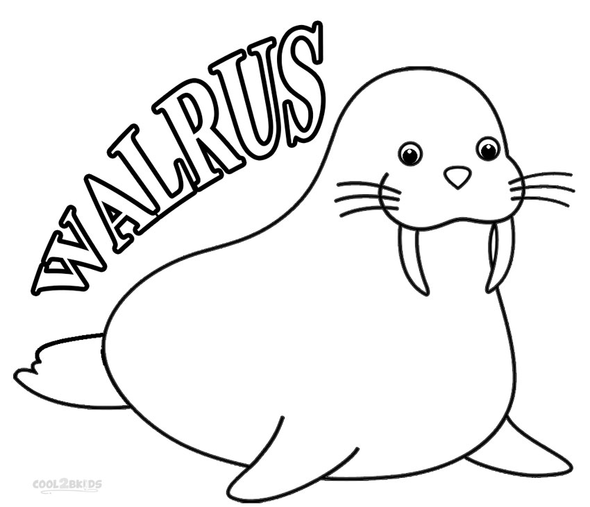 Walrus coloring #10, Download drawings
