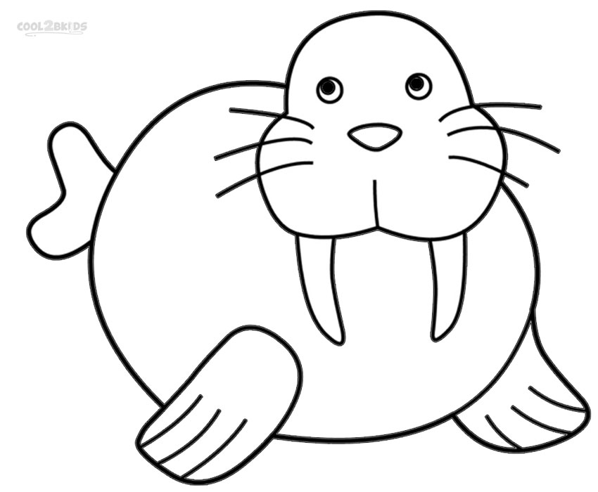Walrus coloring #18, Download drawings
