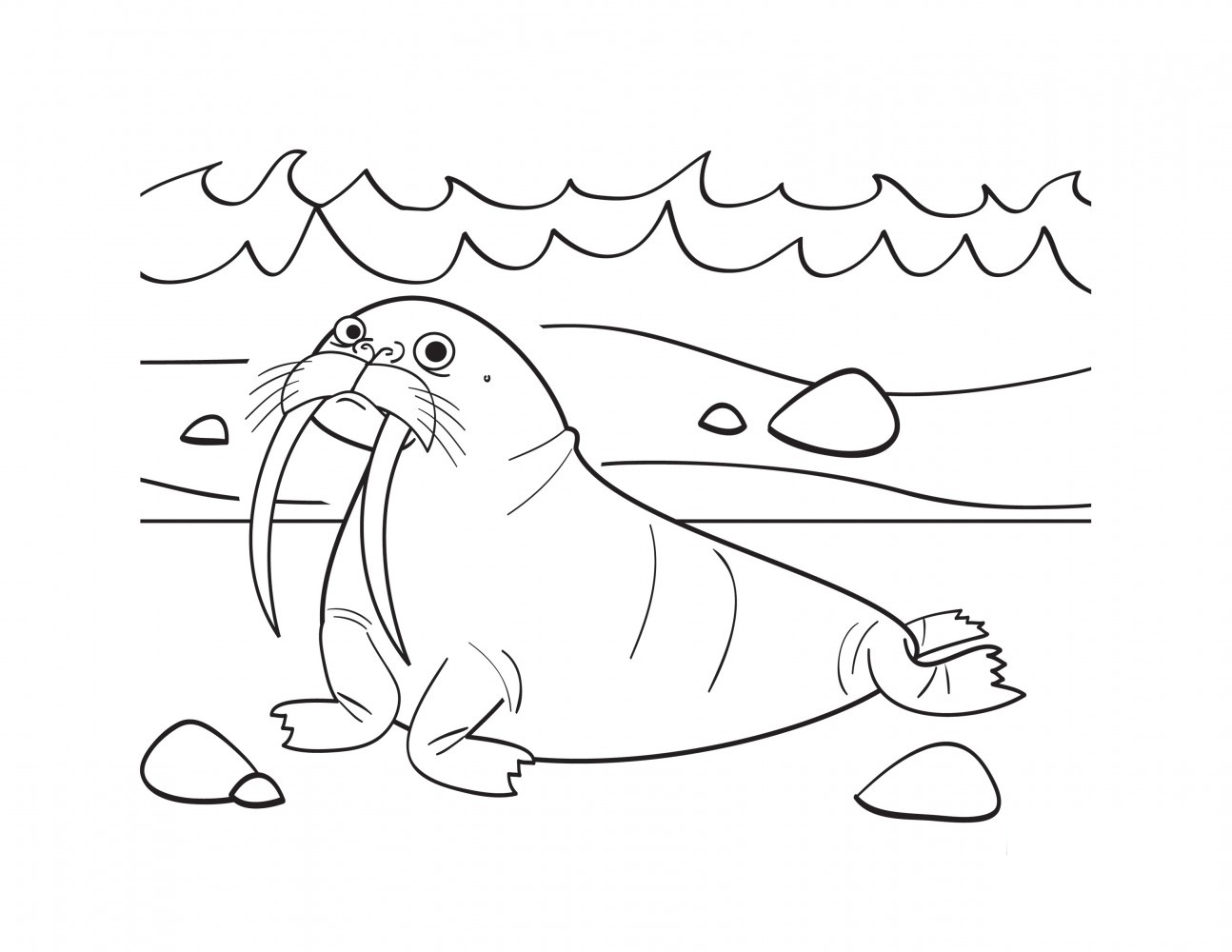 Walrus coloring #14, Download drawings