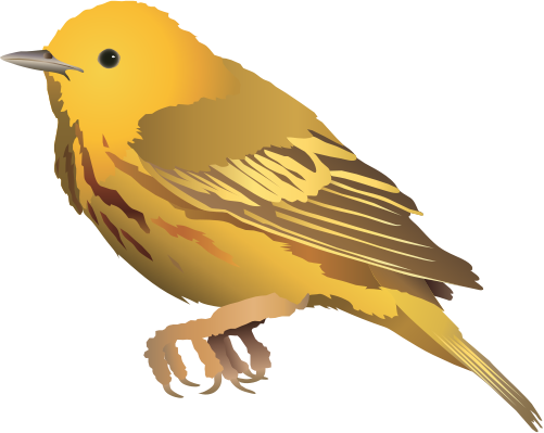 Yellow Warbler svg #20, Download drawings