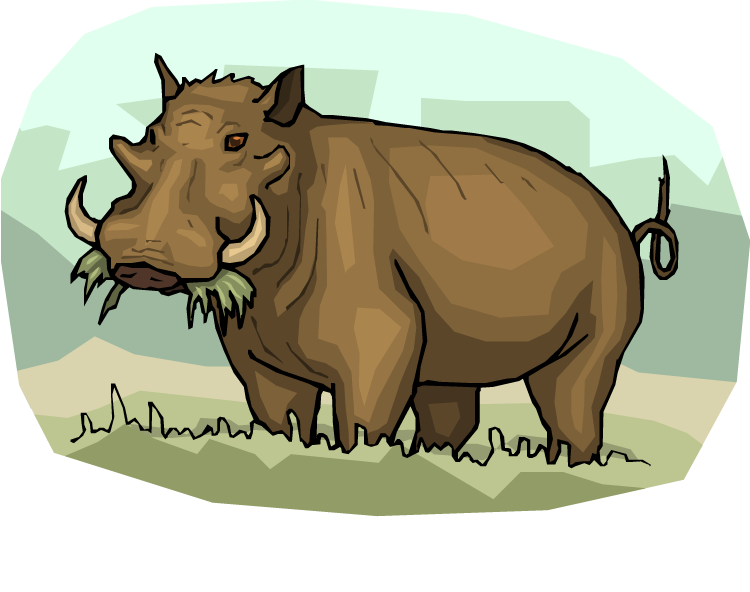 Warthog clipart #3, Download drawings