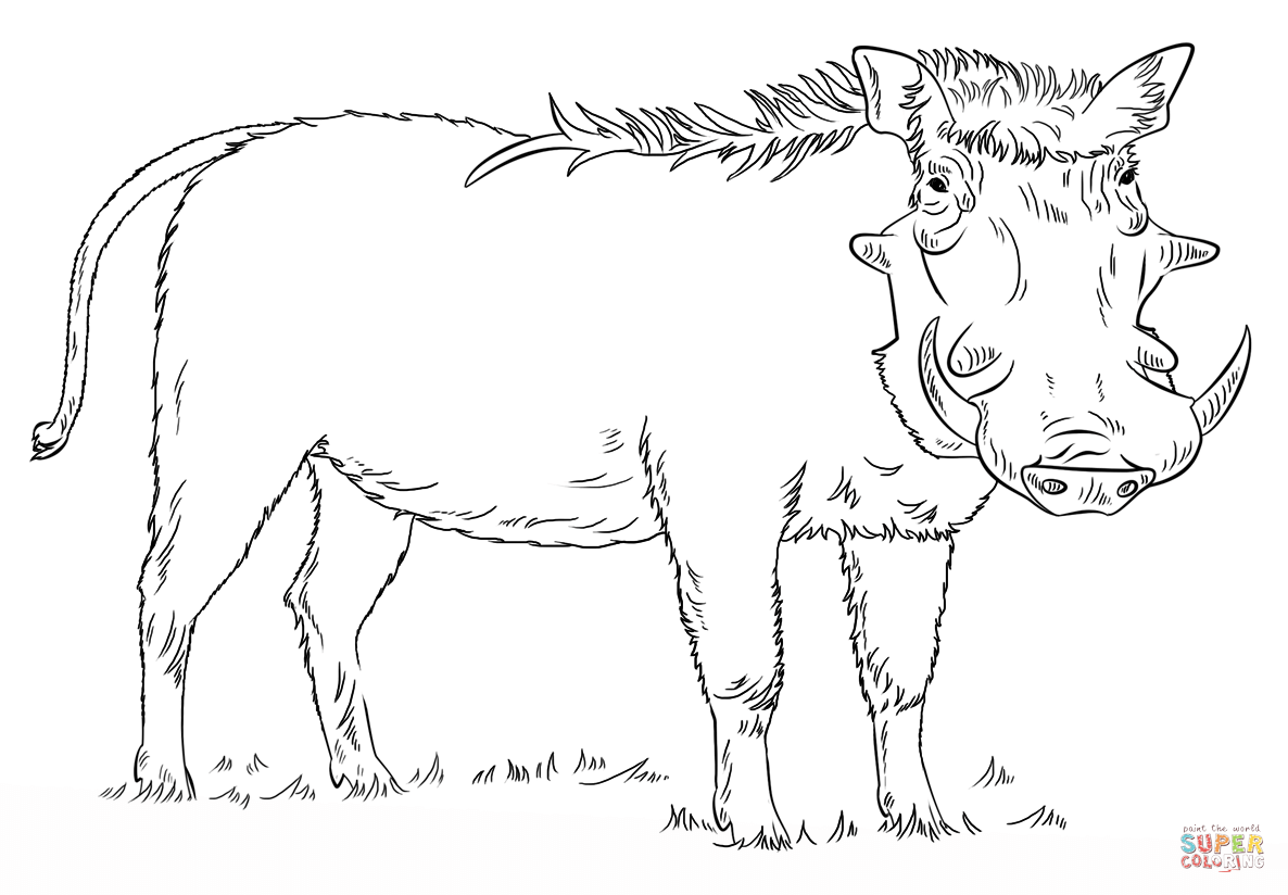 Warthog coloring #5, Download drawings
