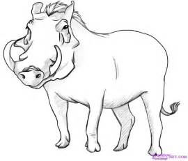 Warthog coloring #6, Download drawings