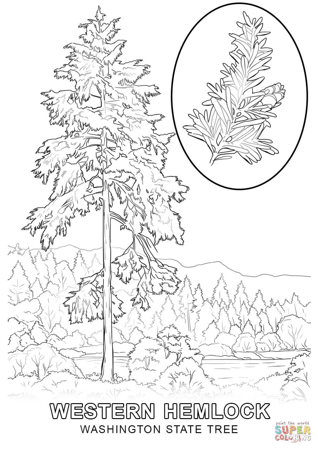 Washington State coloring #2, Download drawings