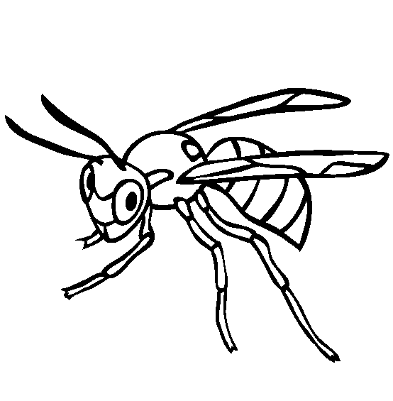 Wasp coloring #2, Download drawings