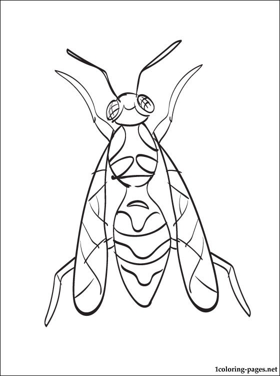 Wasp coloring #20, Download drawings