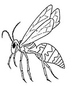 Wasp coloring #8, Download drawings