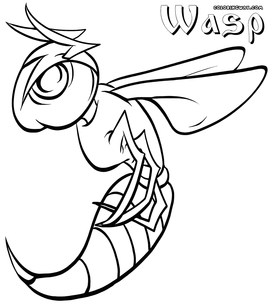 Wasp coloring #1, Download drawings