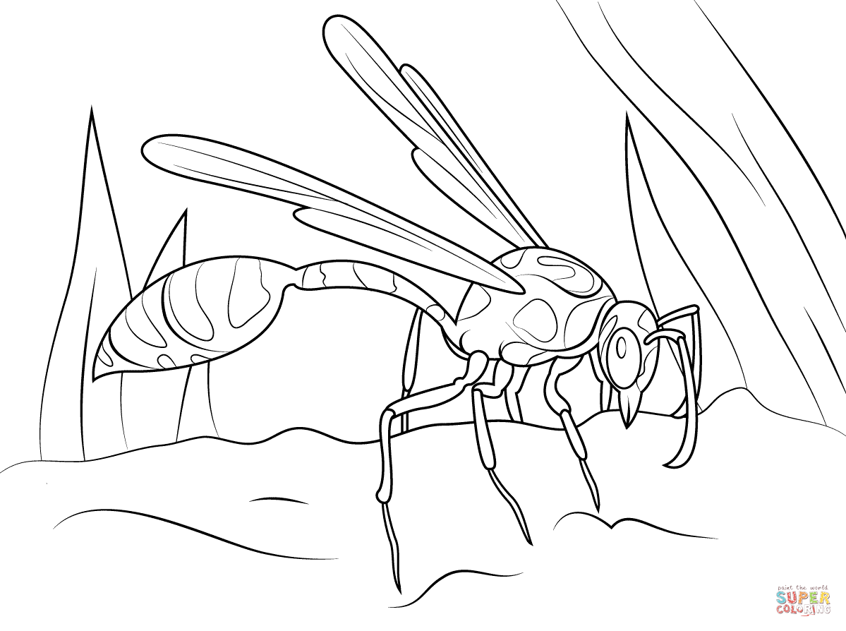 Wasp coloring #7, Download drawings