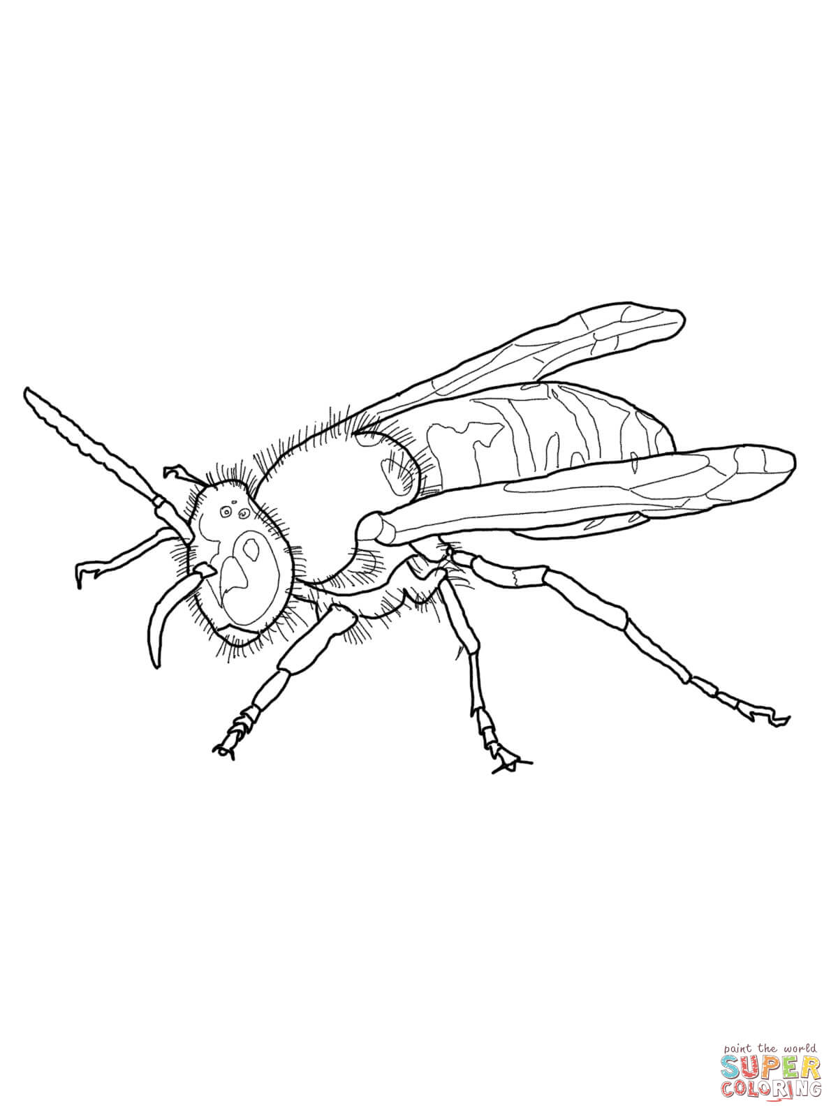 Wasp coloring #13, Download drawings