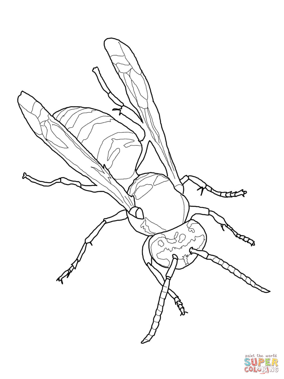Wasp coloring #14, Download drawings