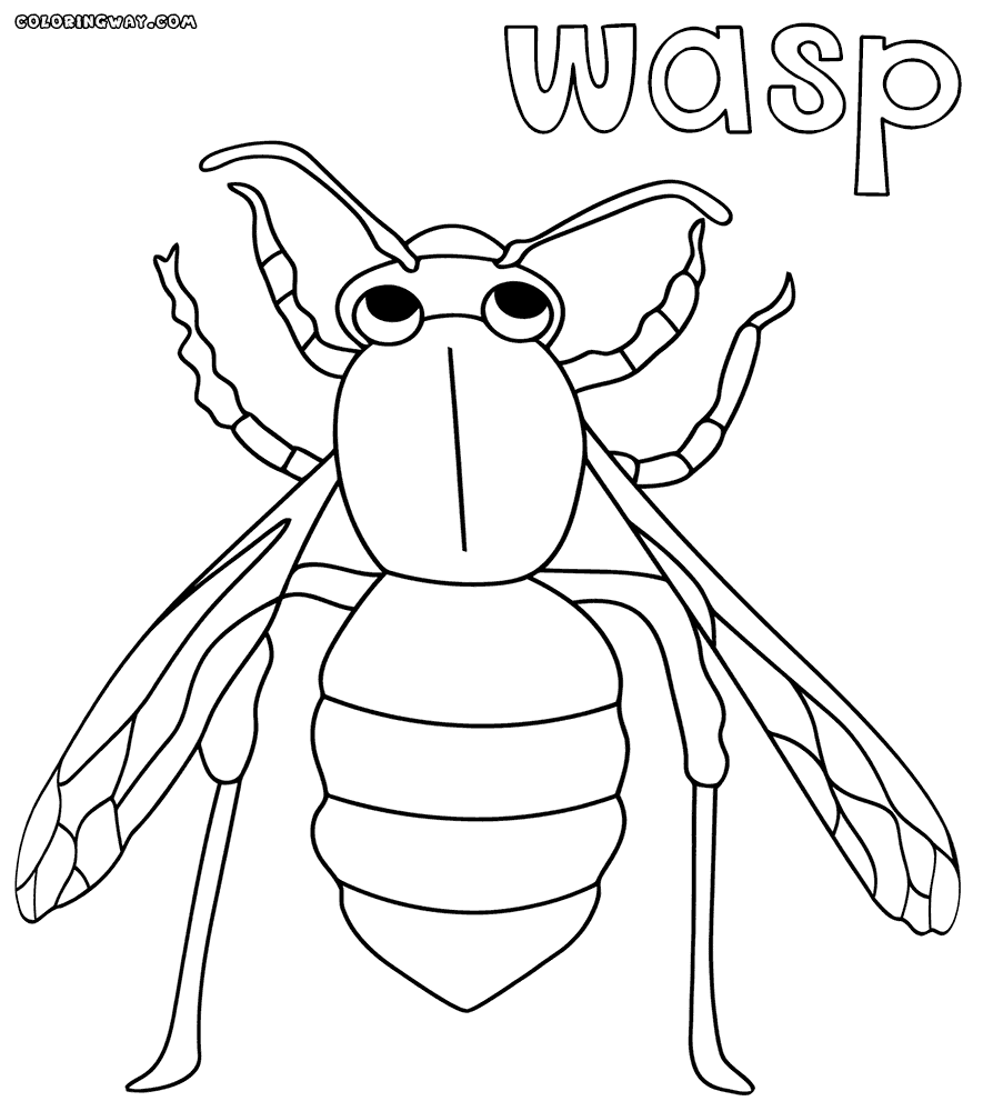Wasp coloring #4, Download drawings