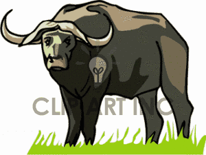 Water Buffalo clipart #9, Download drawings
