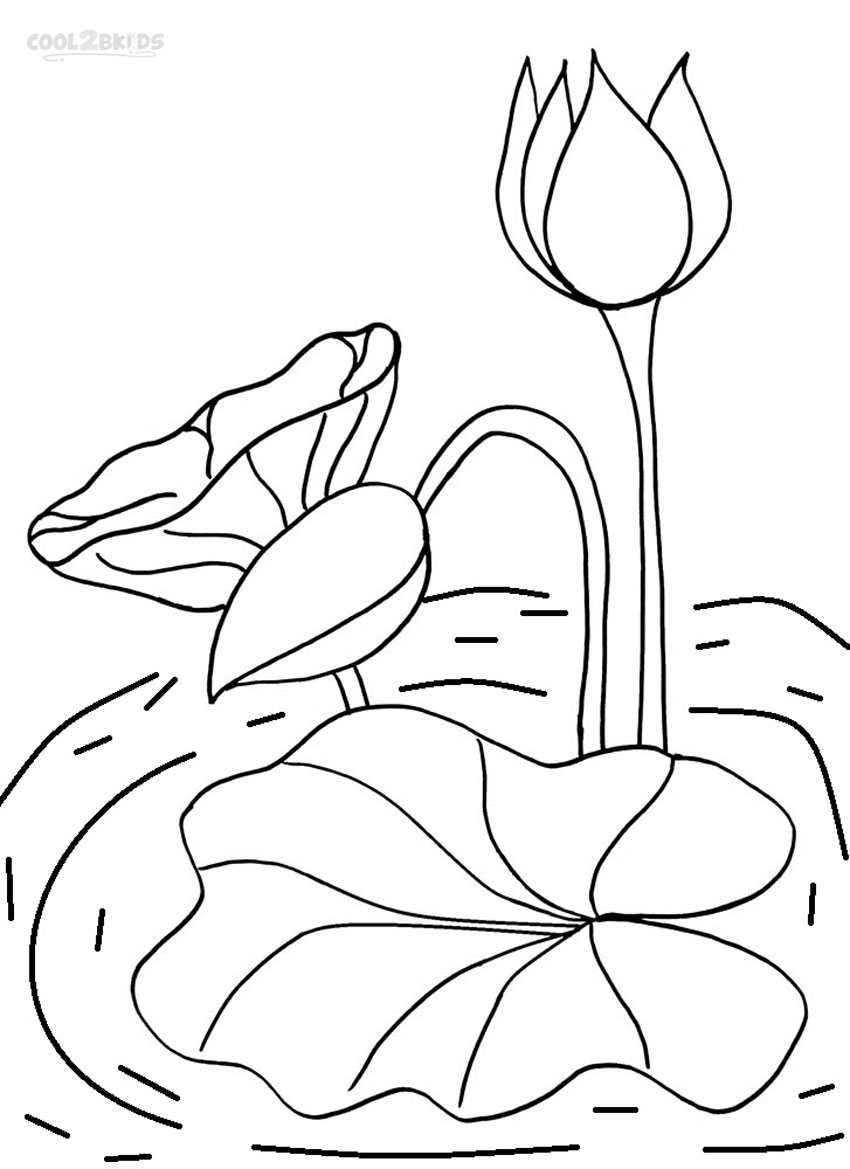 Water Lily coloring #7, Download drawings