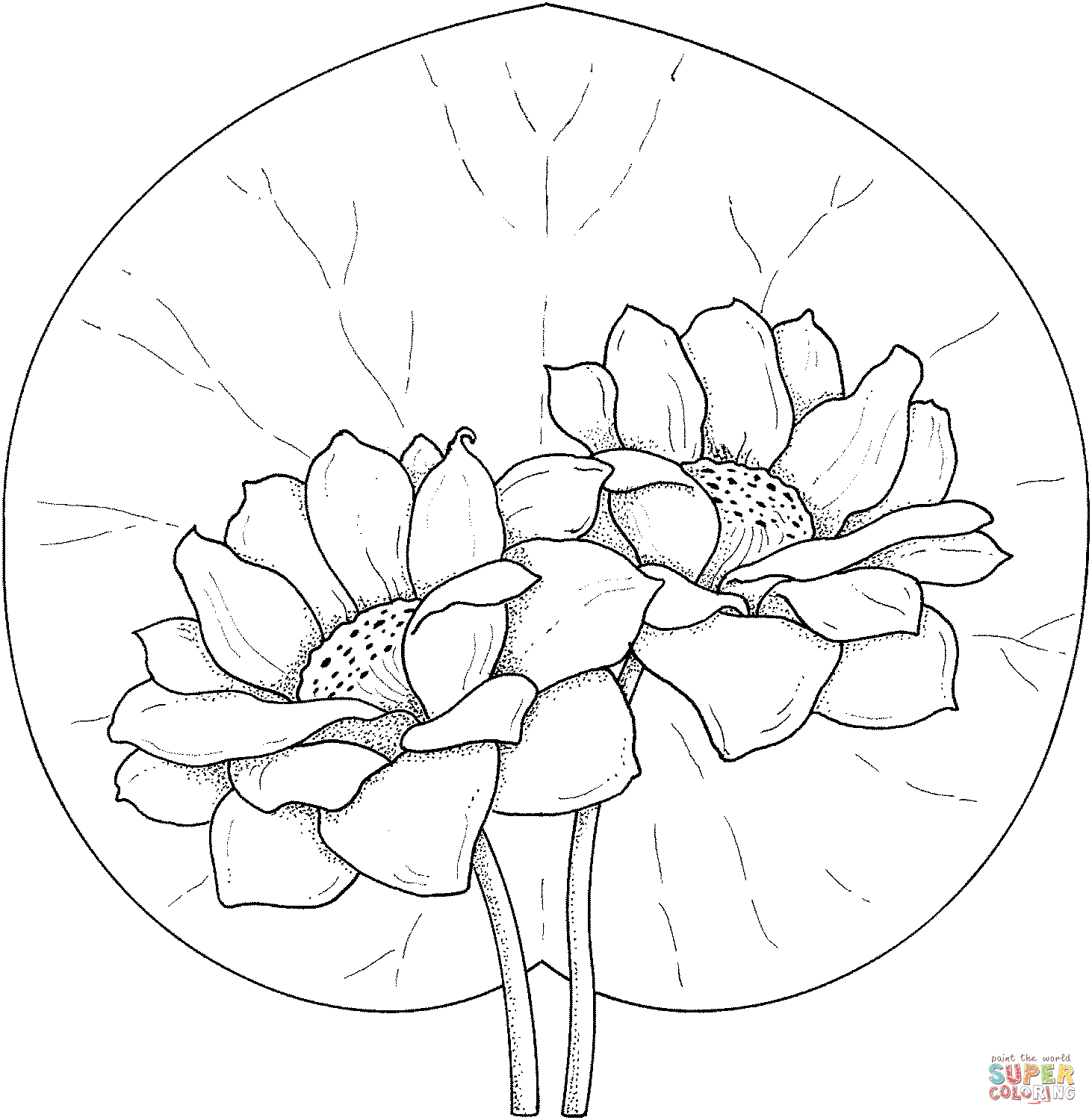 Water Lily coloring #4, Download drawings