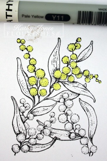 Golden Wattle coloring #17, Download drawings