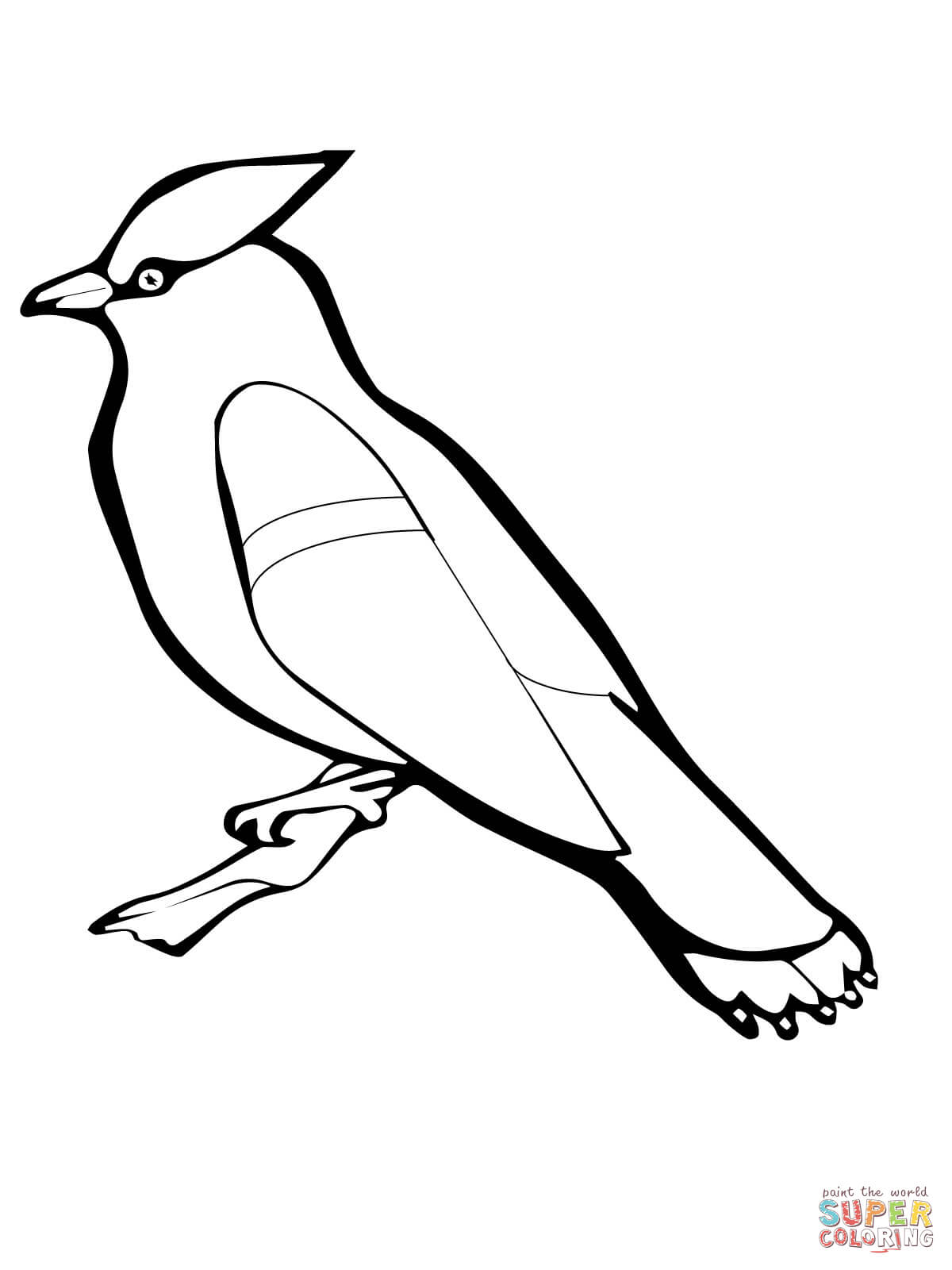 Waxwing coloring #3, Download drawings