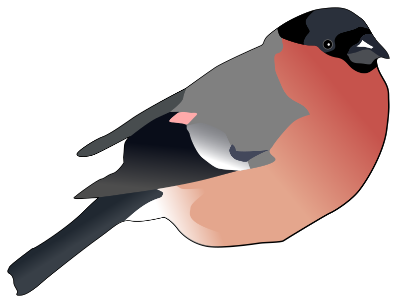Waxwing svg #1, Download drawings