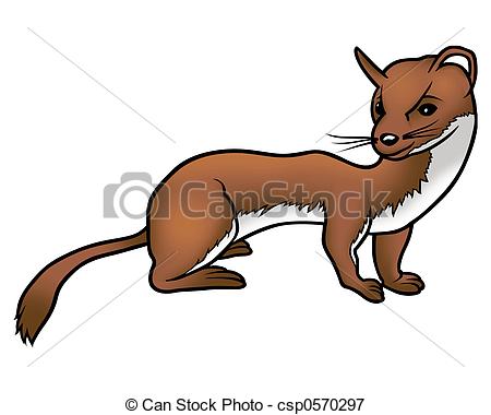 Weasel clipart #8, Download drawings