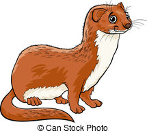 Weasel clipart #14, Download drawings